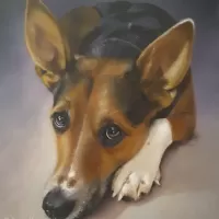 oil canvas animals dog portrait