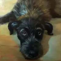 oil canvas animals dog portrait