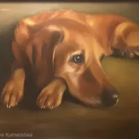 oil canvas animals dog portrait labrador