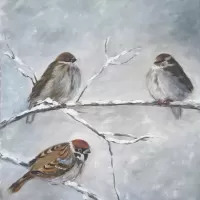 oil  birds winter