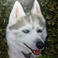 oil acrylic canvas animals dog portrait husky