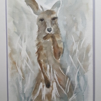 20251129_140540_cropped