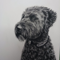 20260711_195925