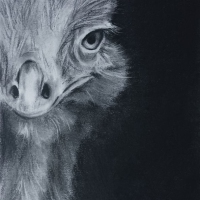 emu2