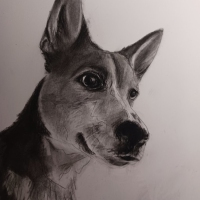 maggy