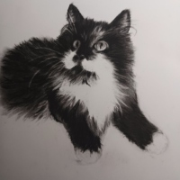 sammy