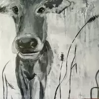 acrylic monochrome animals cow semi-abstract