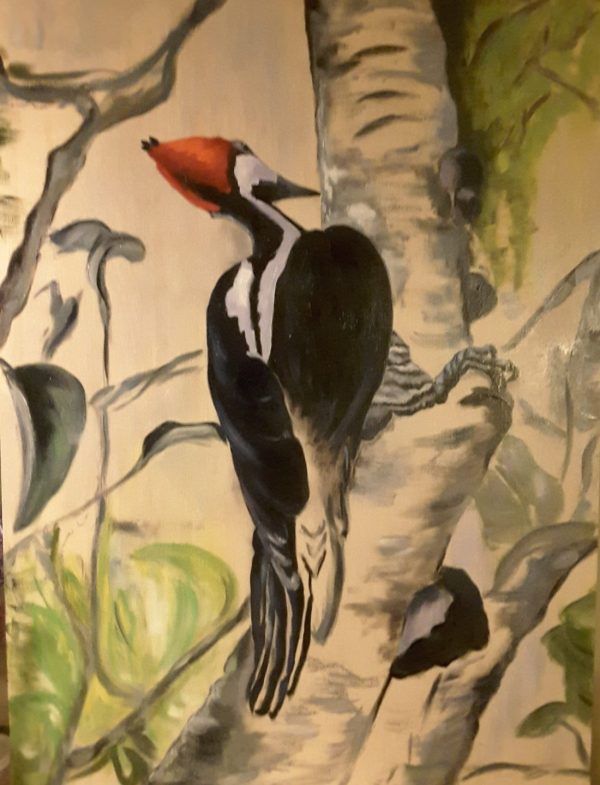 woodpecker oil semi-abstract