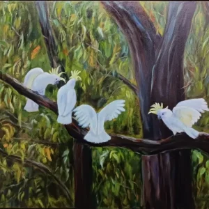 One Branch, Five Opinions