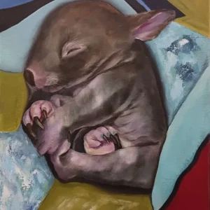 Soft Whispers of Sleep